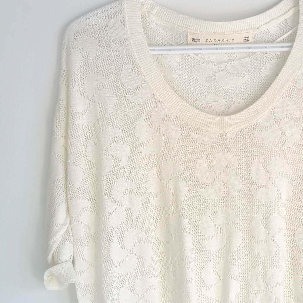Zara Mesh Top